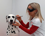 images/galerie/14-Lasertherapie.jpg